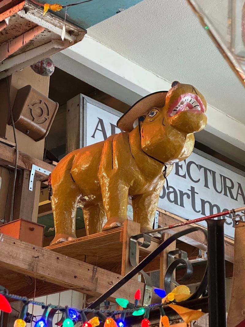 Hippos, Signs and Quirky Charm