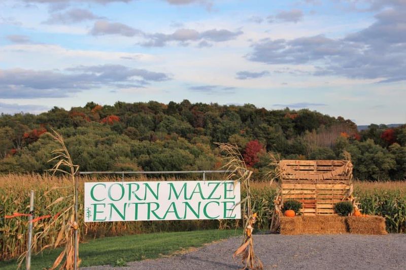 Hite Farms Corn Maze, Patton, Pennsylvania