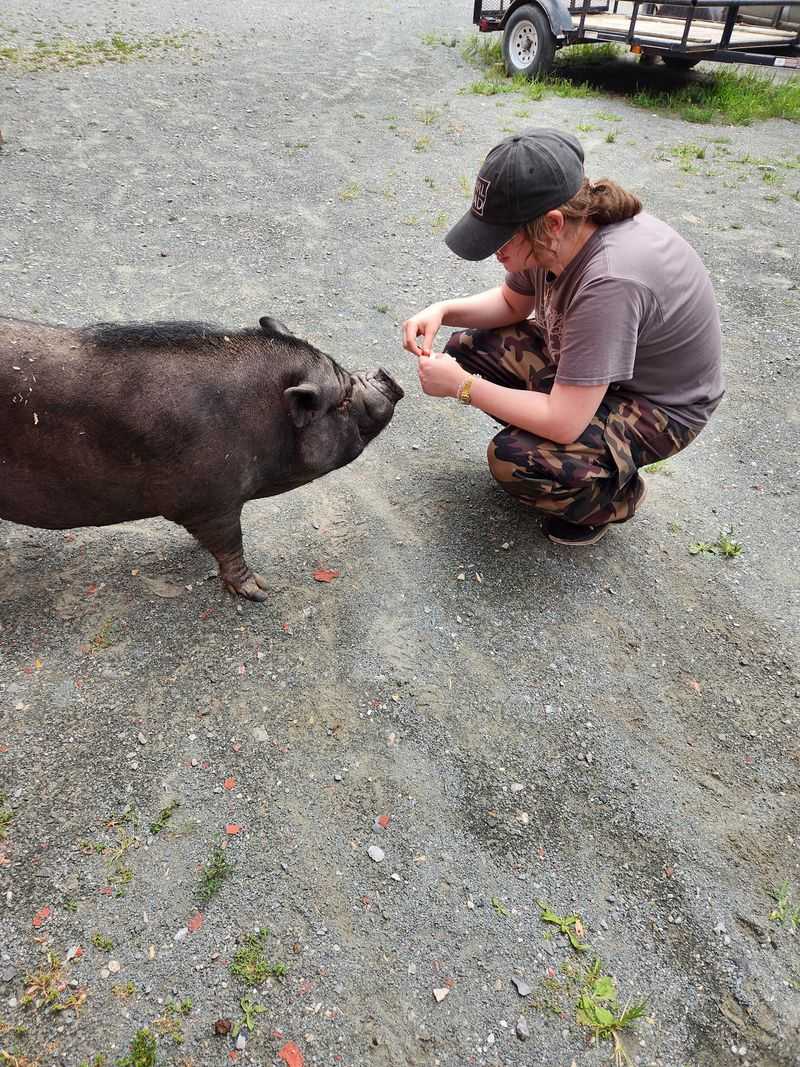 Hold a Rooster, Feed a Pig, Pet a Cow Hold a Rooster, Feed a Pig, Pet a Cow
