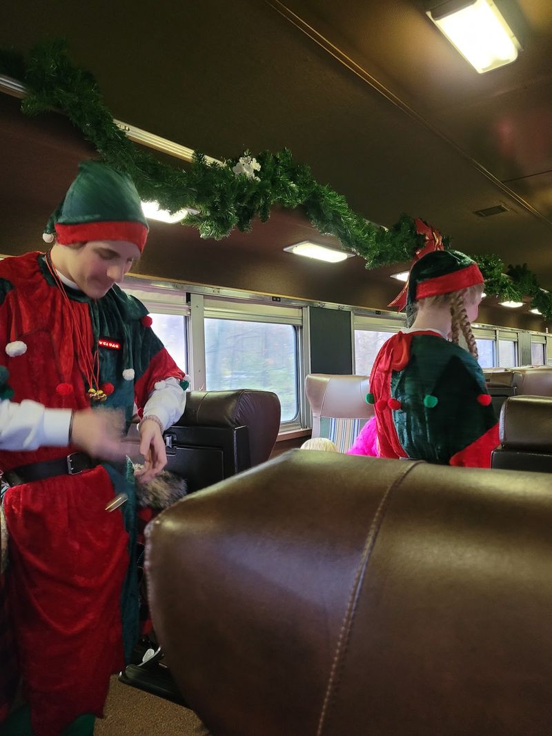 Holiday Trains and Seasonal Favorites