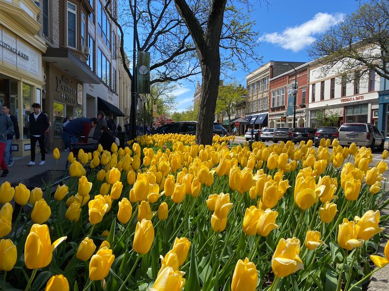 Holland, Michigan