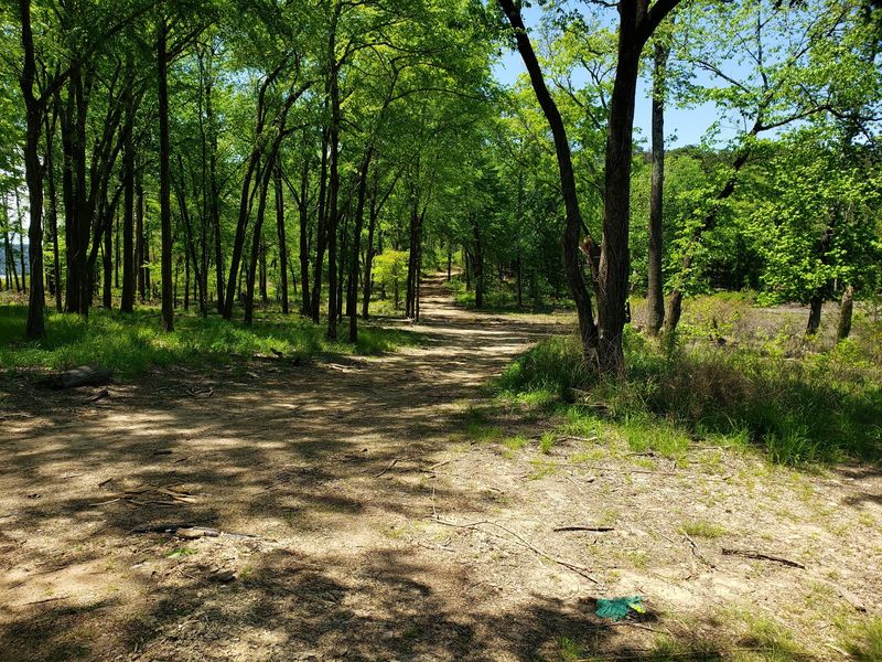 Holly Creek Campsite