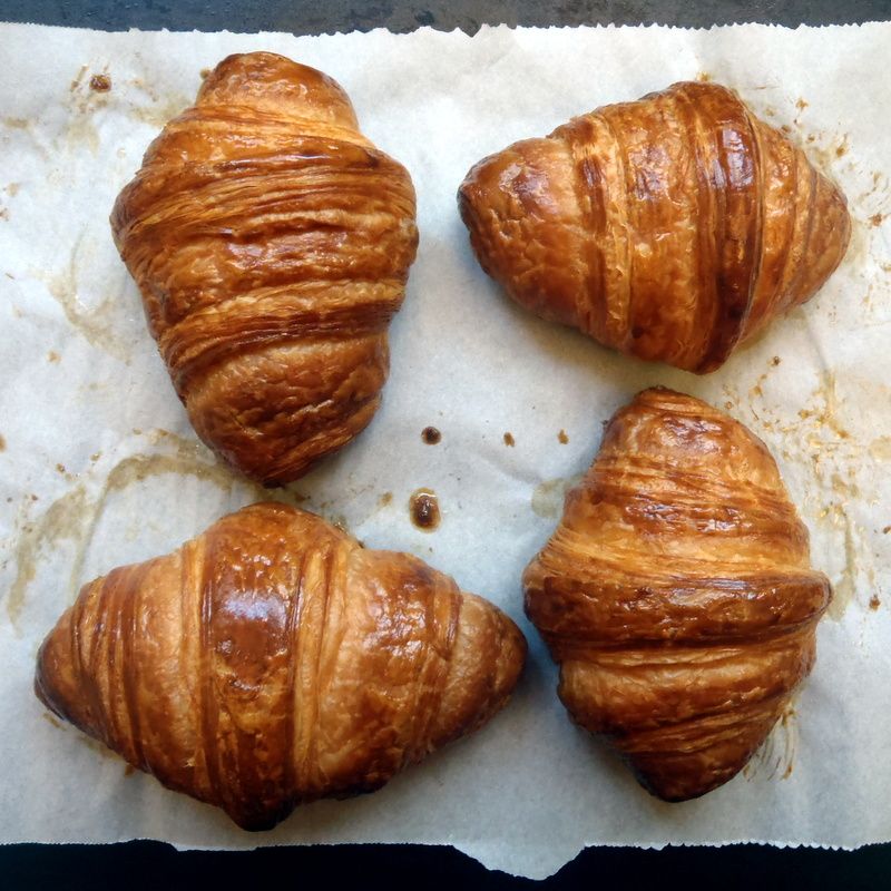 Homemade Croissants