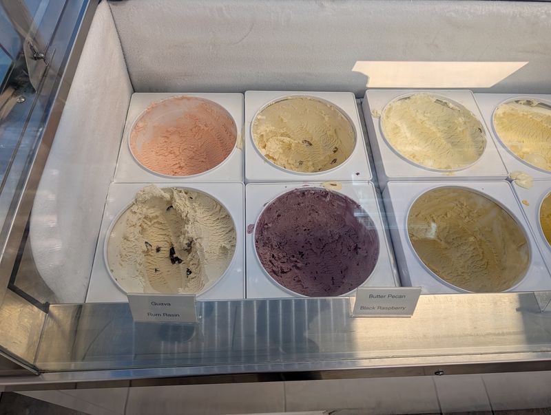 Homemade Ice Cream at the Center