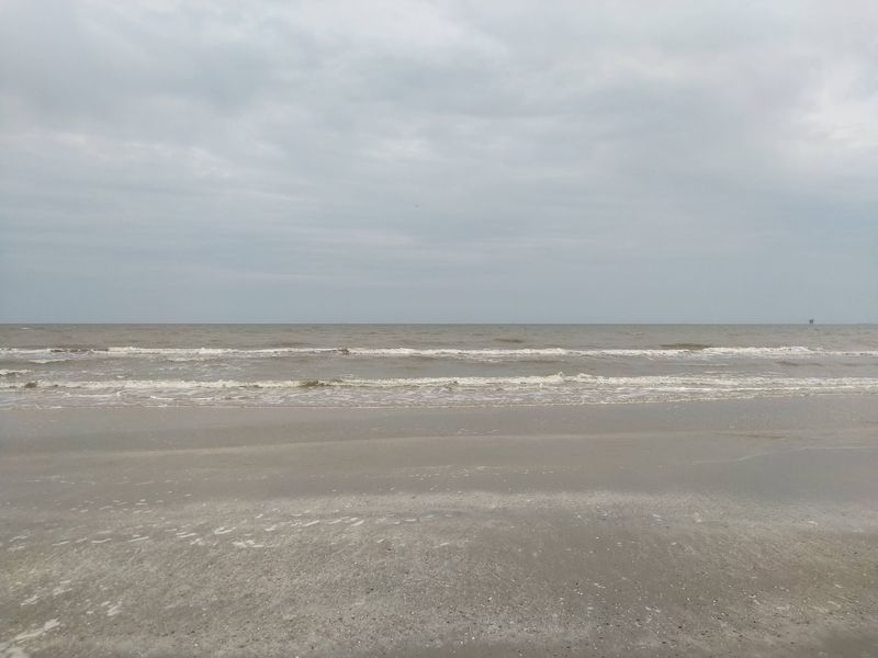 Honest Talk About Water, Seaweed, and Shells Honest Talk About Water, Seaweed, and Shells