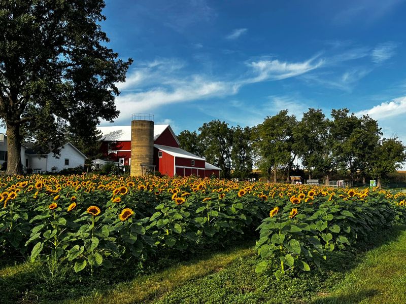 Honey Hill Orchard, Waterman, IL Honey Hill Orchard, Waterman, IL