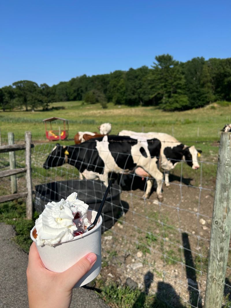 Hornstra Farms Hornstra Farms