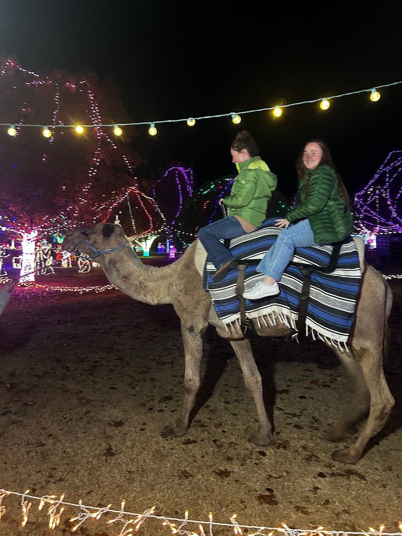 Horse-Drawn Carriages and Camel Rides
