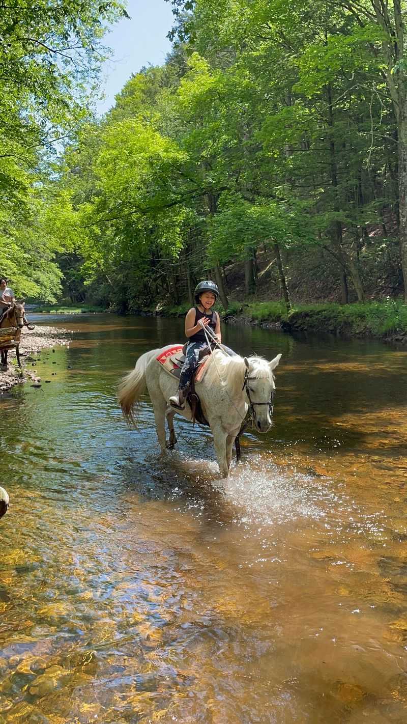 Horse Matches That Respect Experience
