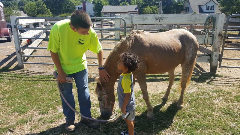 Horsemanship Lessons for Young Riders