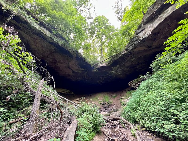 Hosak's Cave and Its Cool, Mossy Mystery