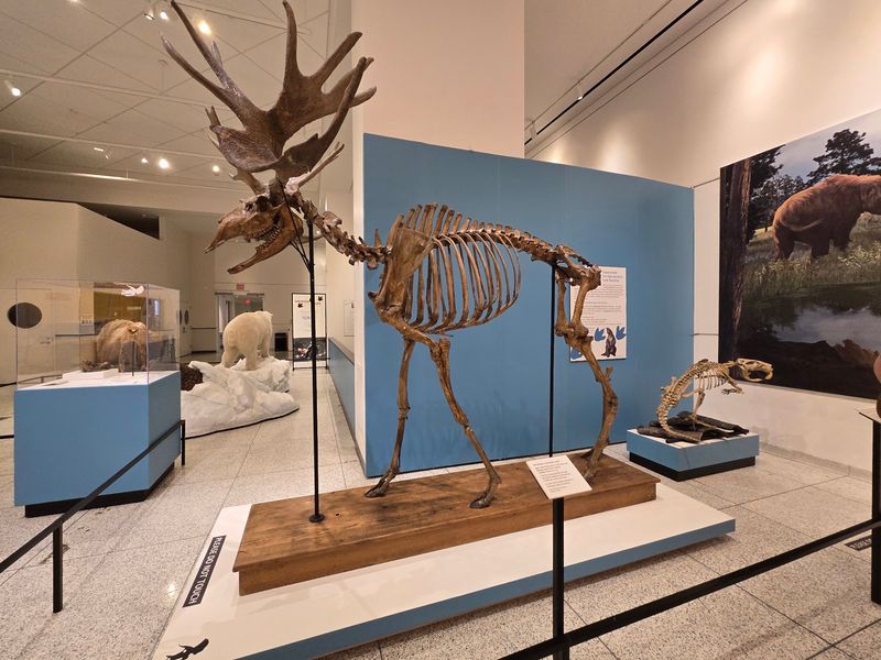 Hours, Admission, and Arrival