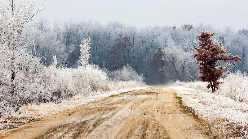 Hours, Cost and Bug Season Tips Hours, Cost and Bug Season Tips
