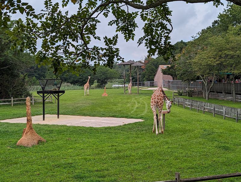 Hours, Parking, and How to Plan Your Visit
