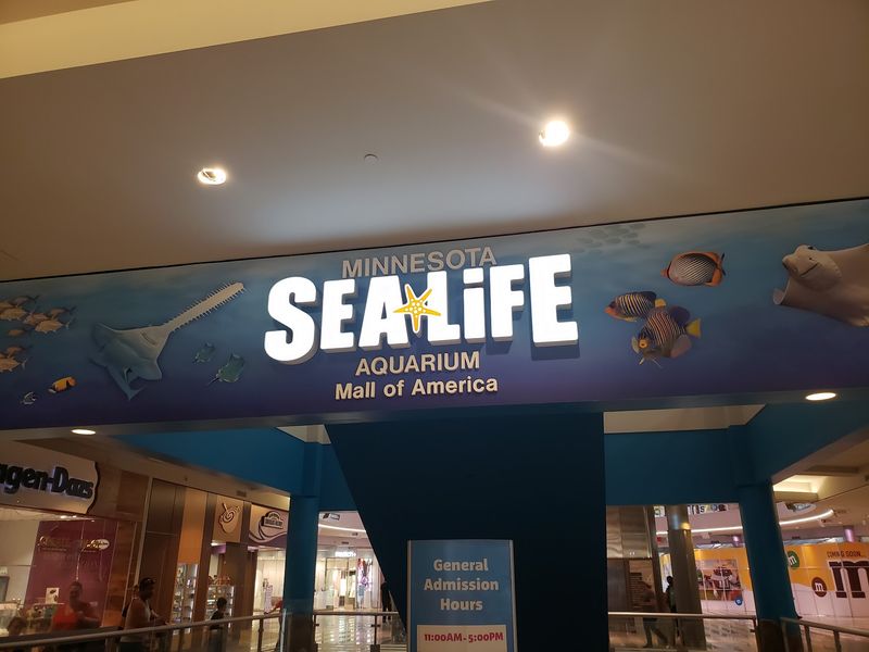 Hours, Tickets, And Smart Savings Before You Go