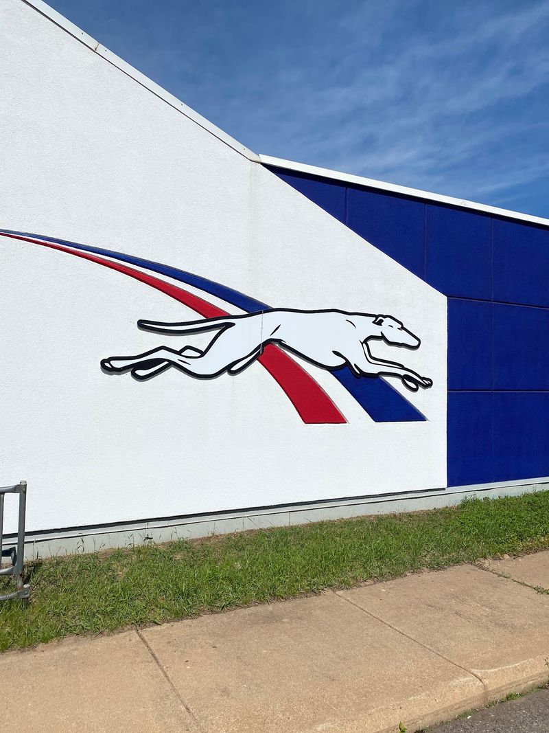 How A Running Dog Became A Logo