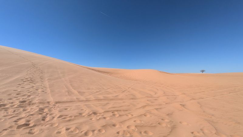 How a State Park Changed the Dunes How a State Park Changed the Dunes