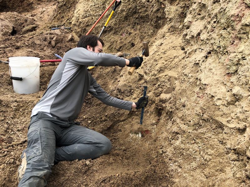 How the Digging Works