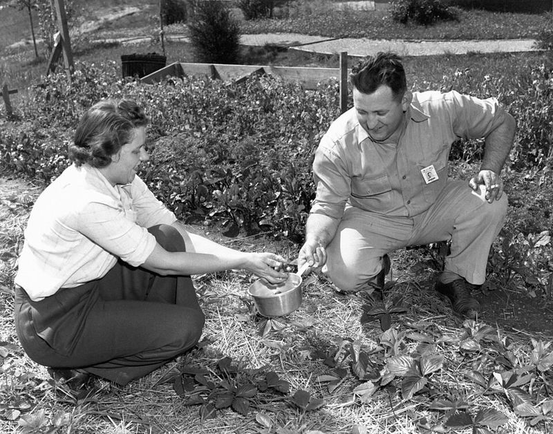 How to Grow Something From a Seed How to Grow Something From a Seed