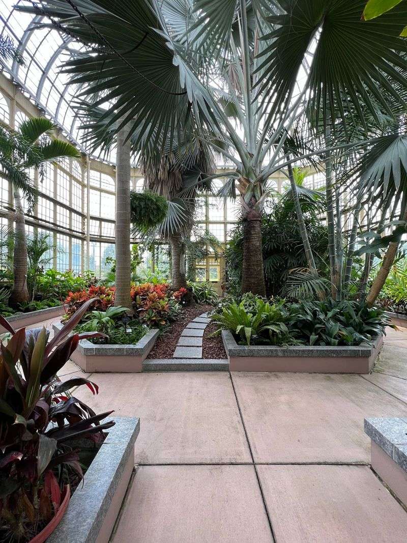 Howard Peters Rawlings Conservatory, Baltimore, Maryland