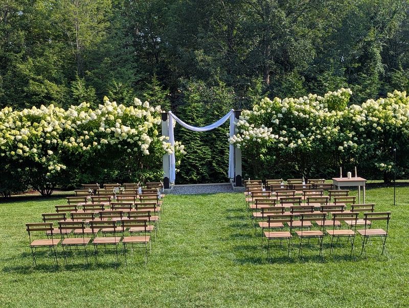 Hydrangeas Steal August