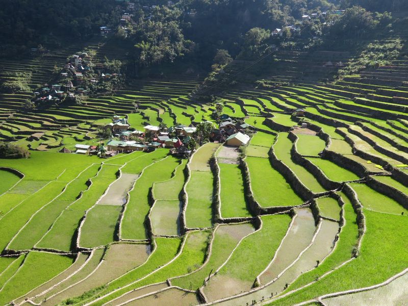 Ifugao, Cordillera Administrative Region, Philippines Ifugao, Cordillera Administrative Region, Philippines