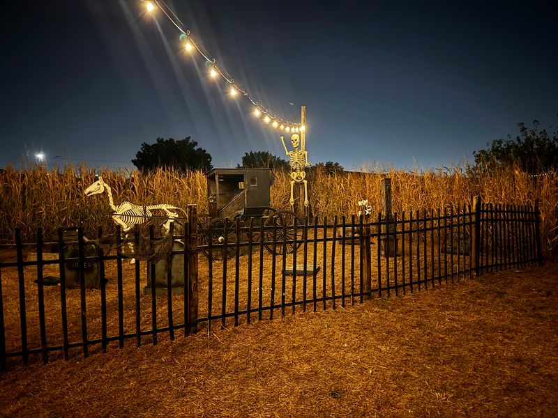 Insanity Farms | Haunted Attractions in Tulsa, Tulsa, OK