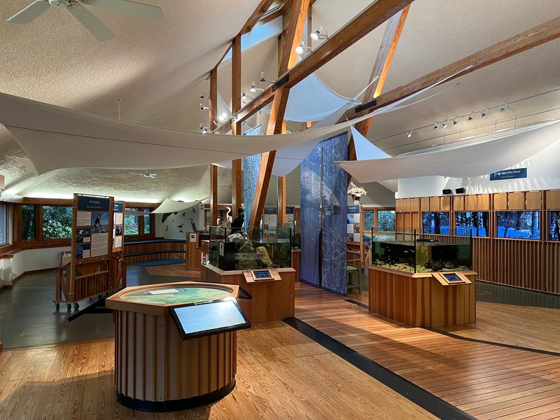 Inside the Nature Center