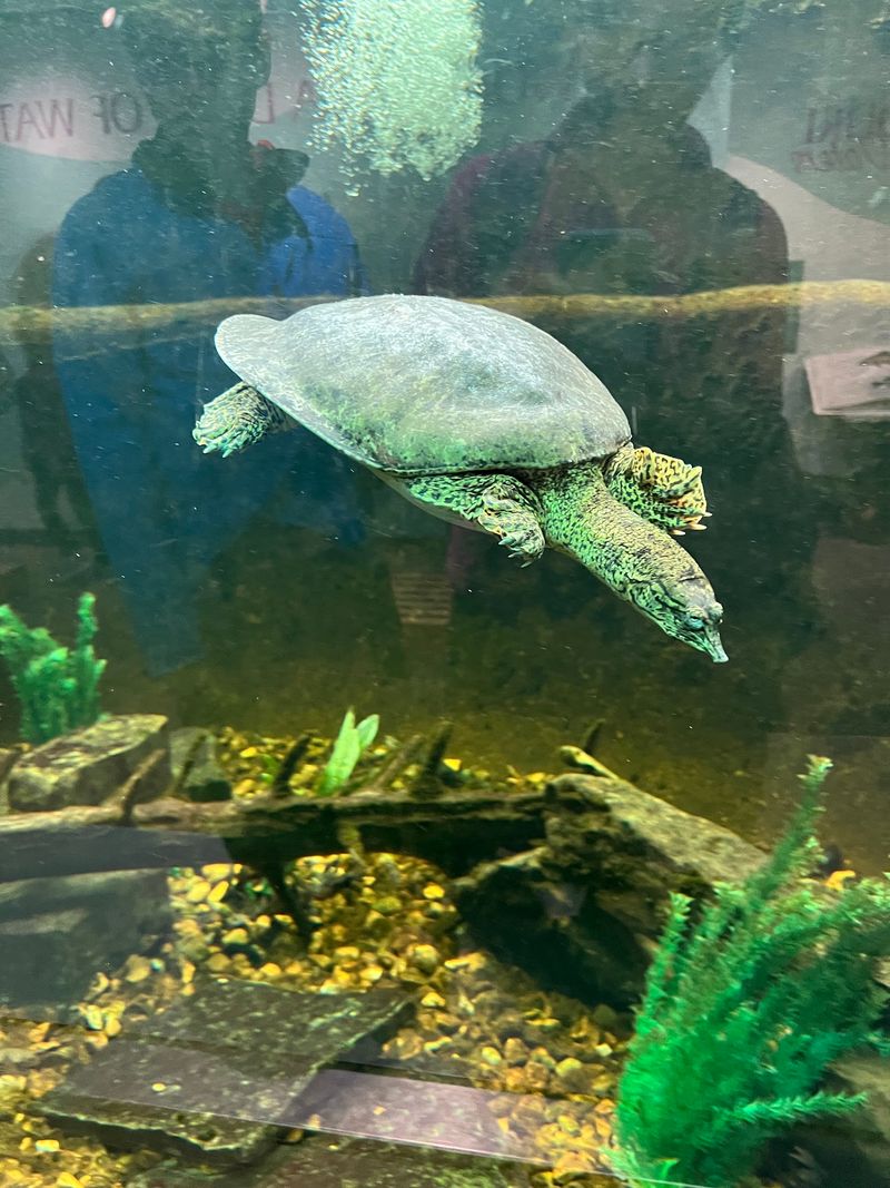 Inside the Wildlife Exhibit Hall