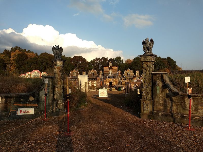 Into the Haunted Forest and Asylum