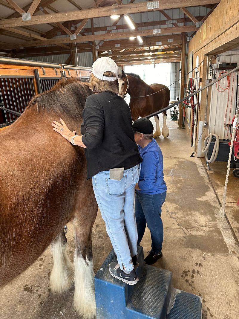 JFP Equine, Waterloo, Illinois JFP Equine, Waterloo, Illinois
