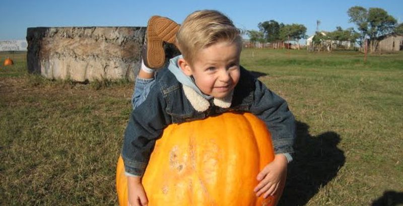 Jahn's Pumpkin Hill Opening 9/25/26 @ 10 am!!, Cyril, OK Jahn's Pumpkin Hill Opening 9/25/26 @ 10 am!!, Cyril, OK