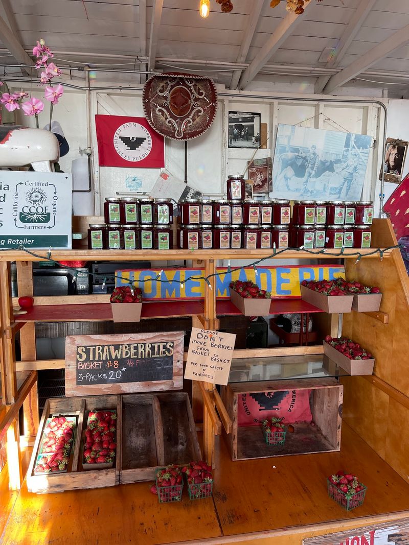 Jam Shelves, Warm Cider, and a Pot of Stew Jam Shelves, Warm Cider, and a Pot of Stew