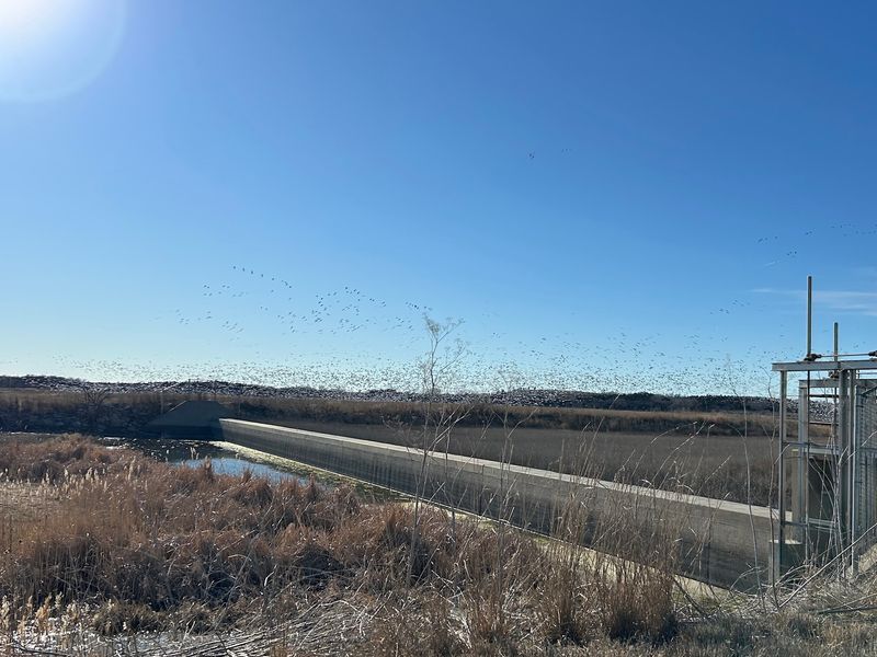 Jamestown Wildlife Area, Jamestown, Kansas