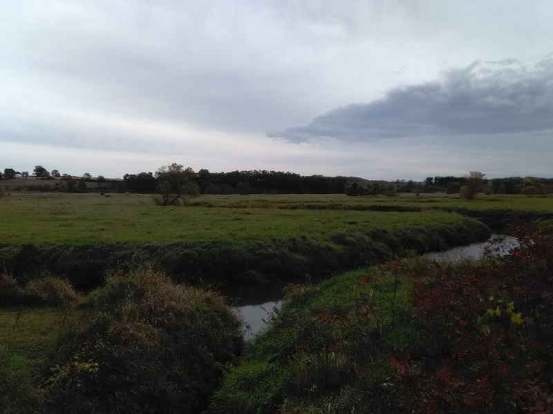 Jane Addams Trail, Orangeville, IL Jane Addams Trail, Orangeville, IL