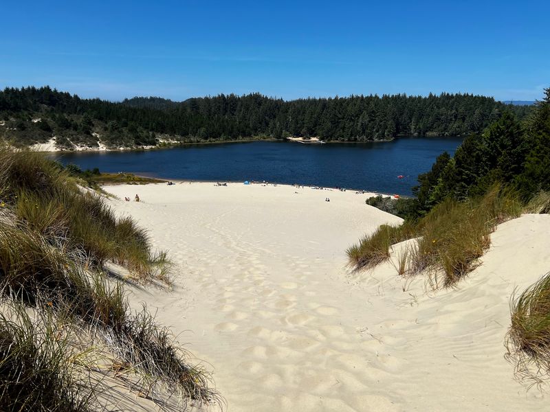 Jessie M. Honeyman Memorial State Park, Florence, OR