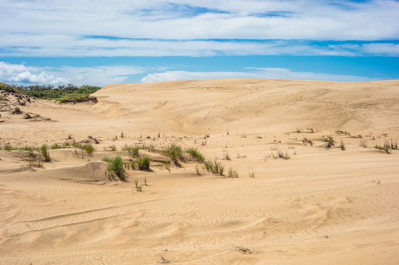 Jockey's Ridge State Park, Nags Head, NC