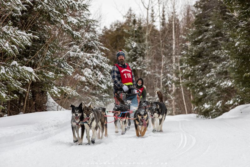 John Beargrease Sled Dog Marathon