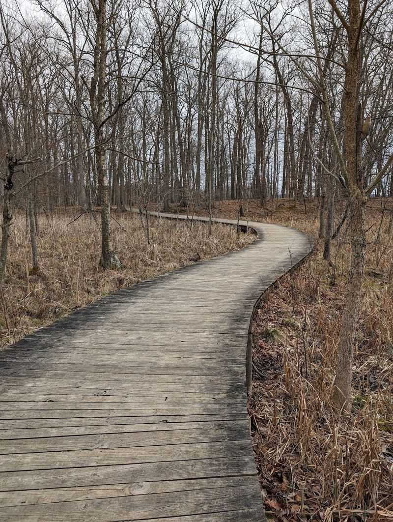 Kensington Metropark Nature Center, Milford, Michigan