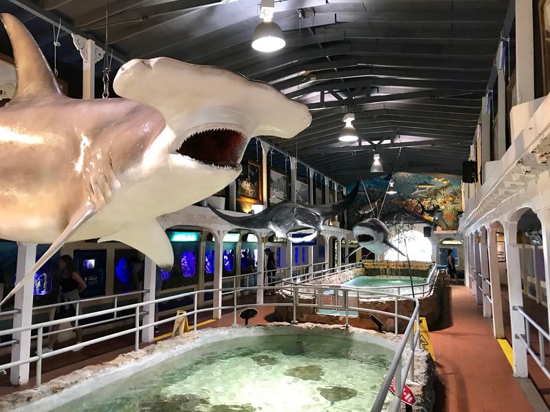 Key West Aquarium Key West Aquarium