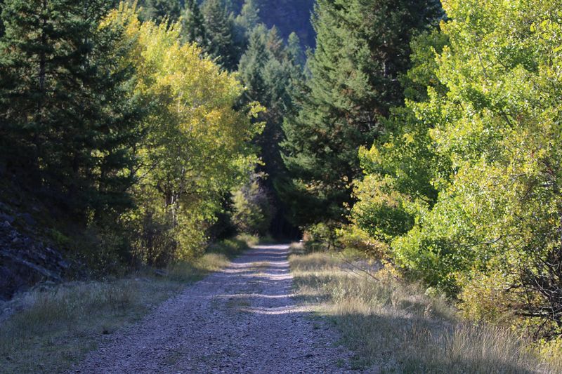 Kim Williams Nature Trail, Missoula, Montana Kim Williams Nature Trail, Missoula, Montana