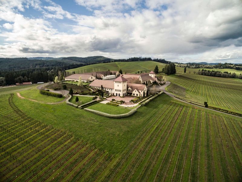 King Estate Winery, Eugene, Oregon