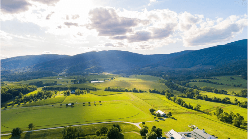 King Family Vineyards, Crozet, Virginia