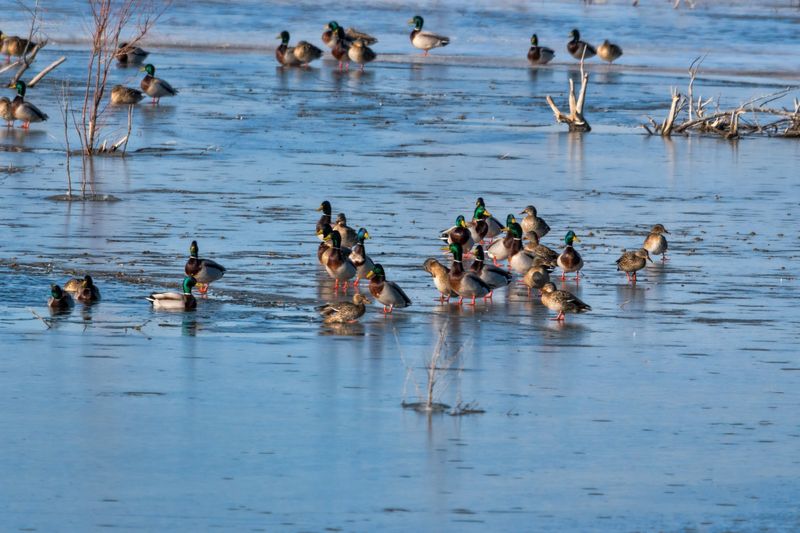 Kirwin National Wildlife Refuge, Kirwin, Kansas
