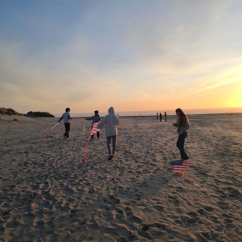 Kites, Dogs, and Open Space to Roam
