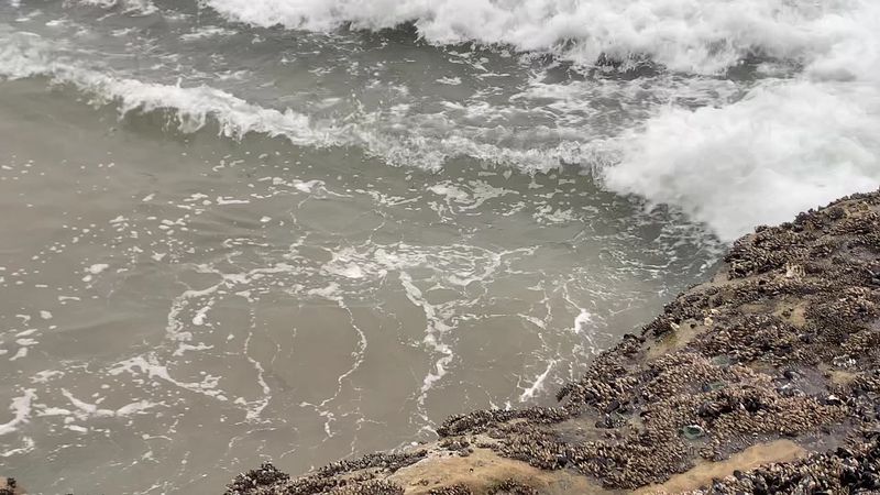 Know the Tide Before You Go