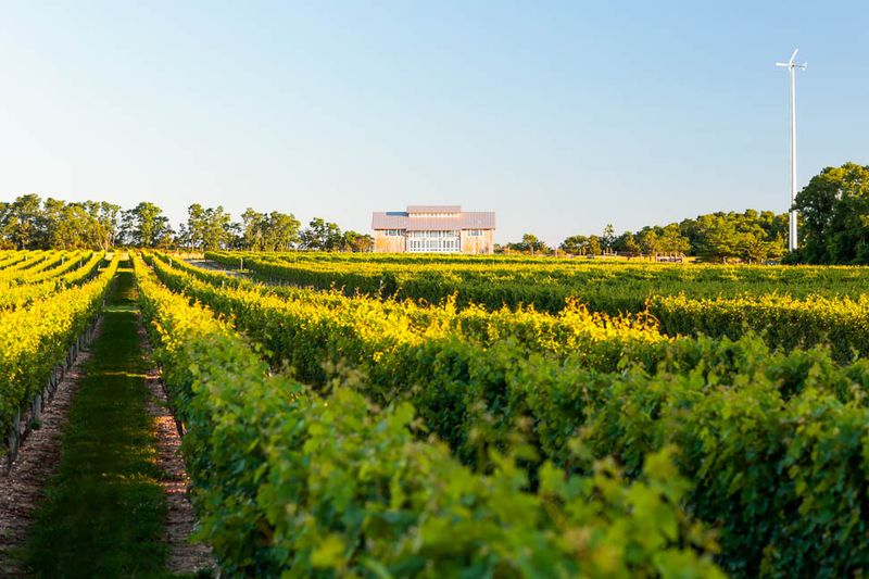Kontokosta Winery, Greenport, New York