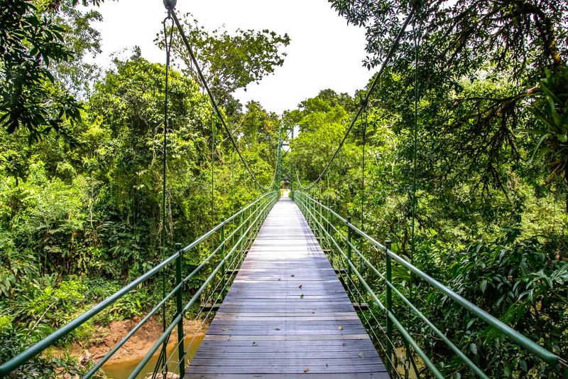 La Selva Biological Station – Puerto Viejo de Sarapiquí La Selva Biological Station – Puerto Viejo de Sarapiquí