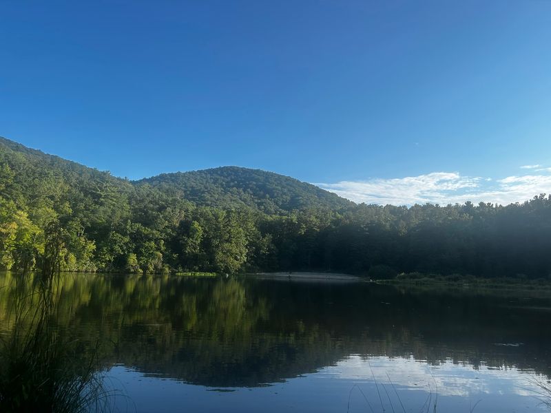 Lake Powhatan Recreation Area & Campground, Asheville, NC