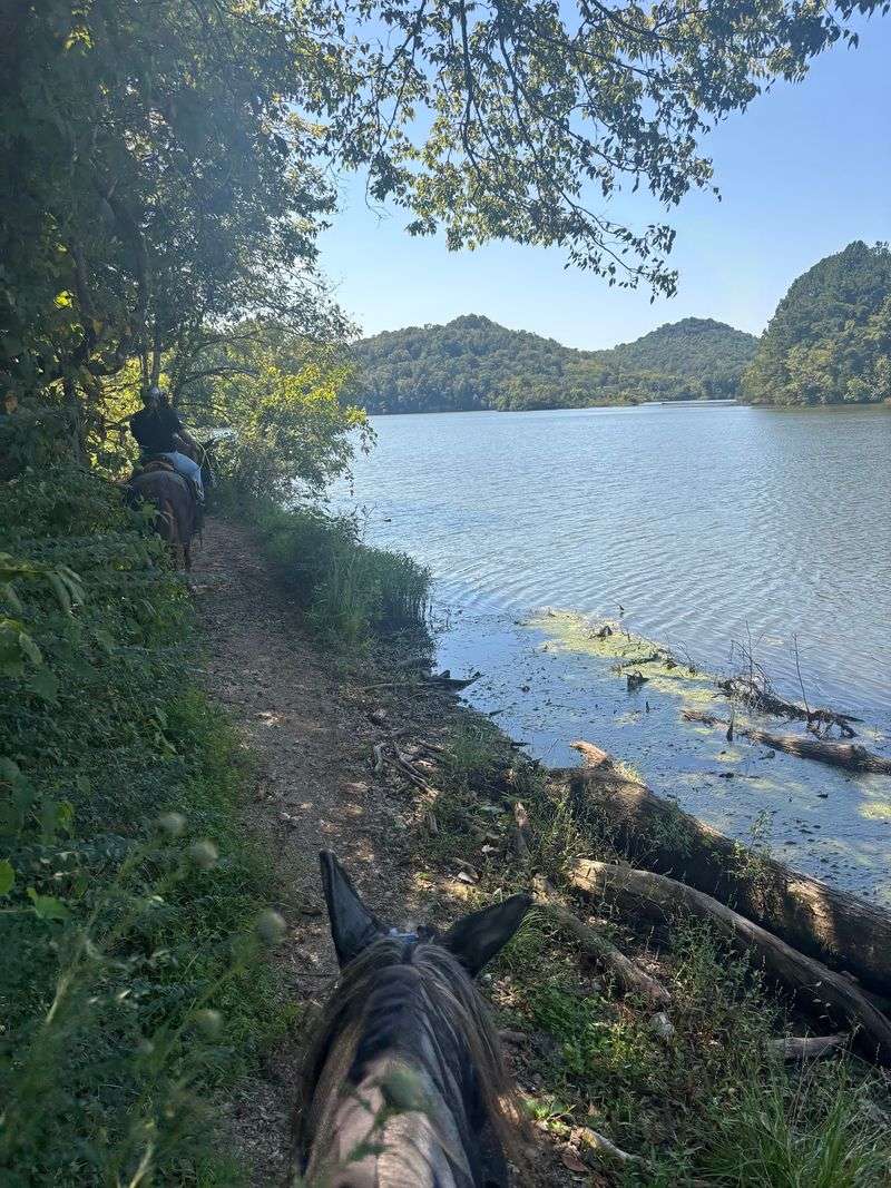 Lake Views Along Shaded Trails